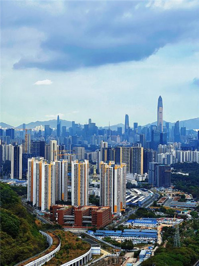 上海临港喝茶vx：遁入繁华背后的宁静之地